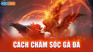 cach-cham-soc-ga-da-gk88_2_11zon