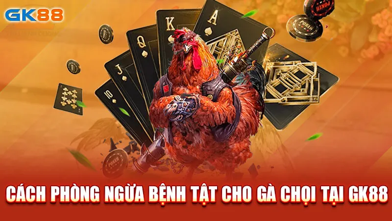 cach-phong-ngua-benh-tat-cho-ga-choi-tai-gk88_1_11zon