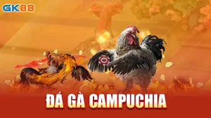 da-ga-cam-puchia-gk88_2_11zon