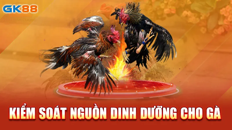 kiem-soat-nguon-dinh-duong-cho-ga-gk88_2_11zon