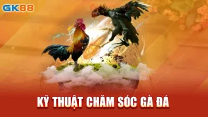 ky-thuat-cham-soc-ga-da-gk88_3_11zon