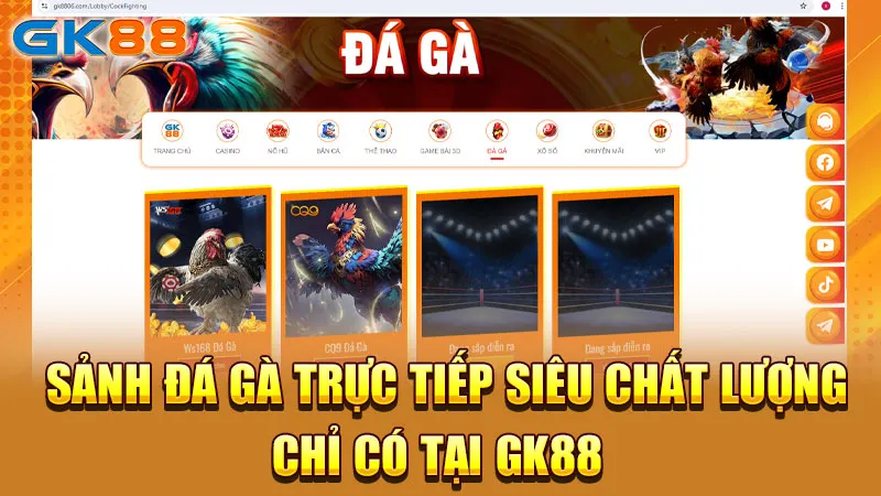 sanh-da-ga-truc-tiep-sieu-chat-luong-chi-co-tại-gk88_4