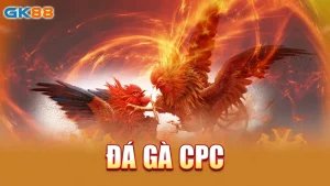 DA-GA-CPC-gk88_2_11zon