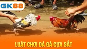 luat-choi-da-ga-cua-sat-gk88