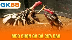 meo-chon-ga-da-cua-dao-gk88
