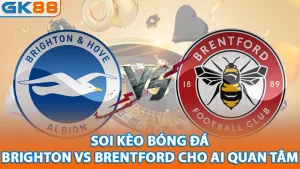1-soi-keo-bong-da-brighton-vs-brentford-cho-ai-quan-tam