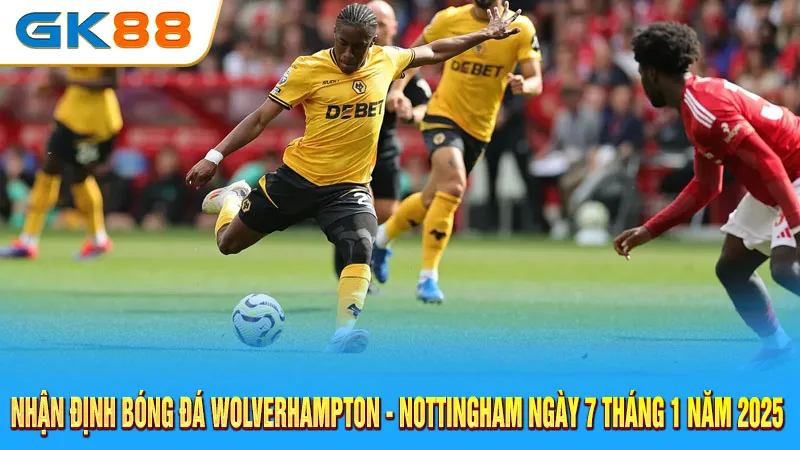 nhan-dinh-bong-da-wolverhampton-nottingham-ngay-7-thang-1-nam-2025